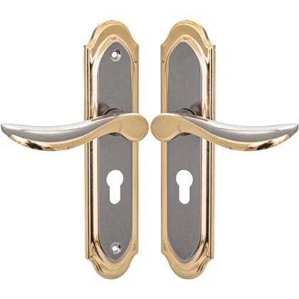 Bloqueig de la porta de mànec de titani